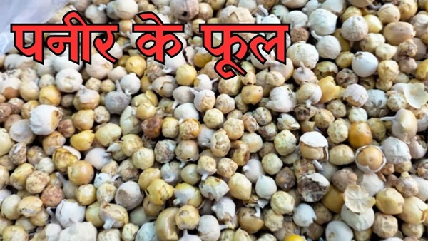 naidunia_image